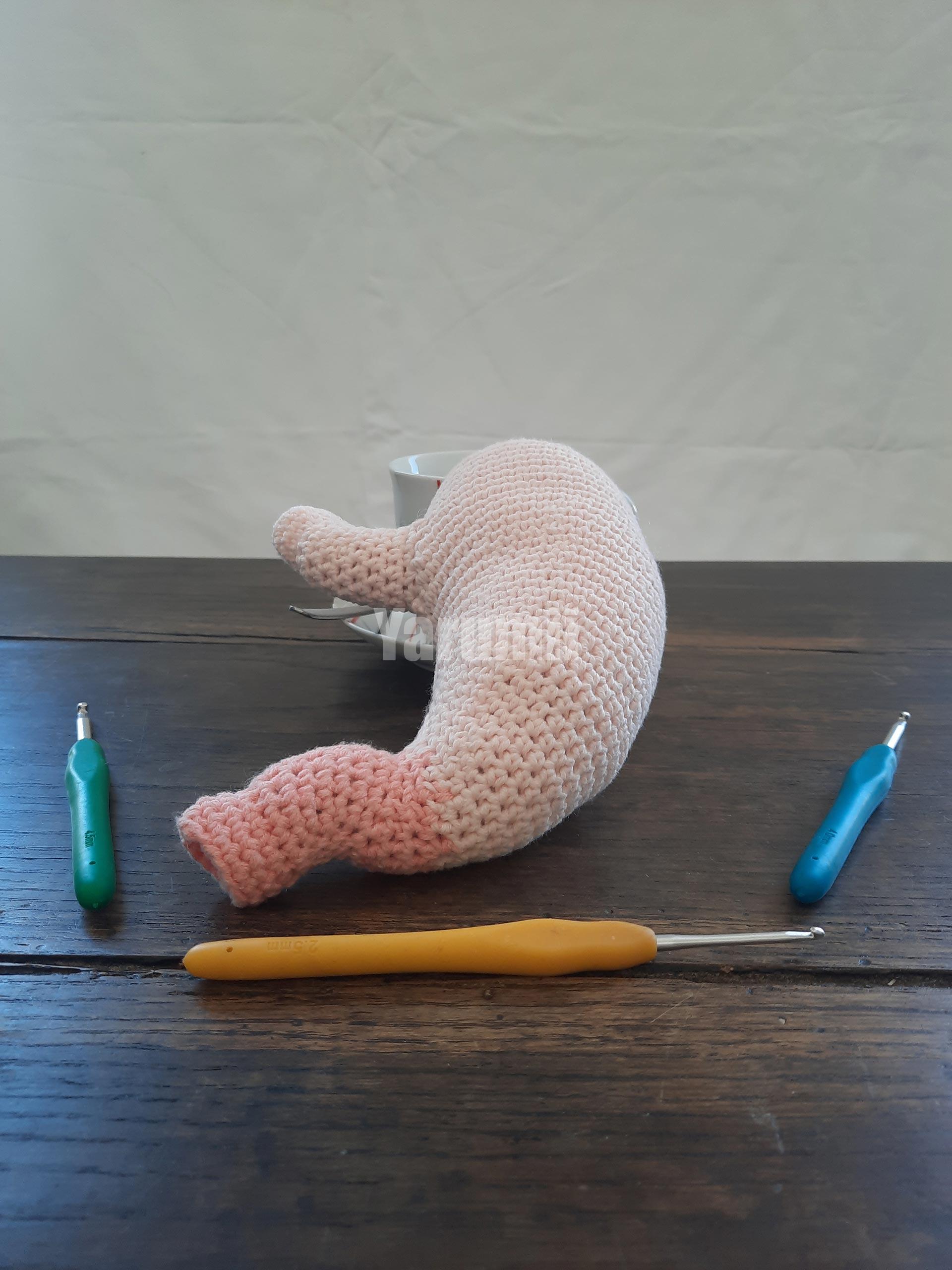 Estomac au crochet - Yarumii Estomac au crochet - Yarumii