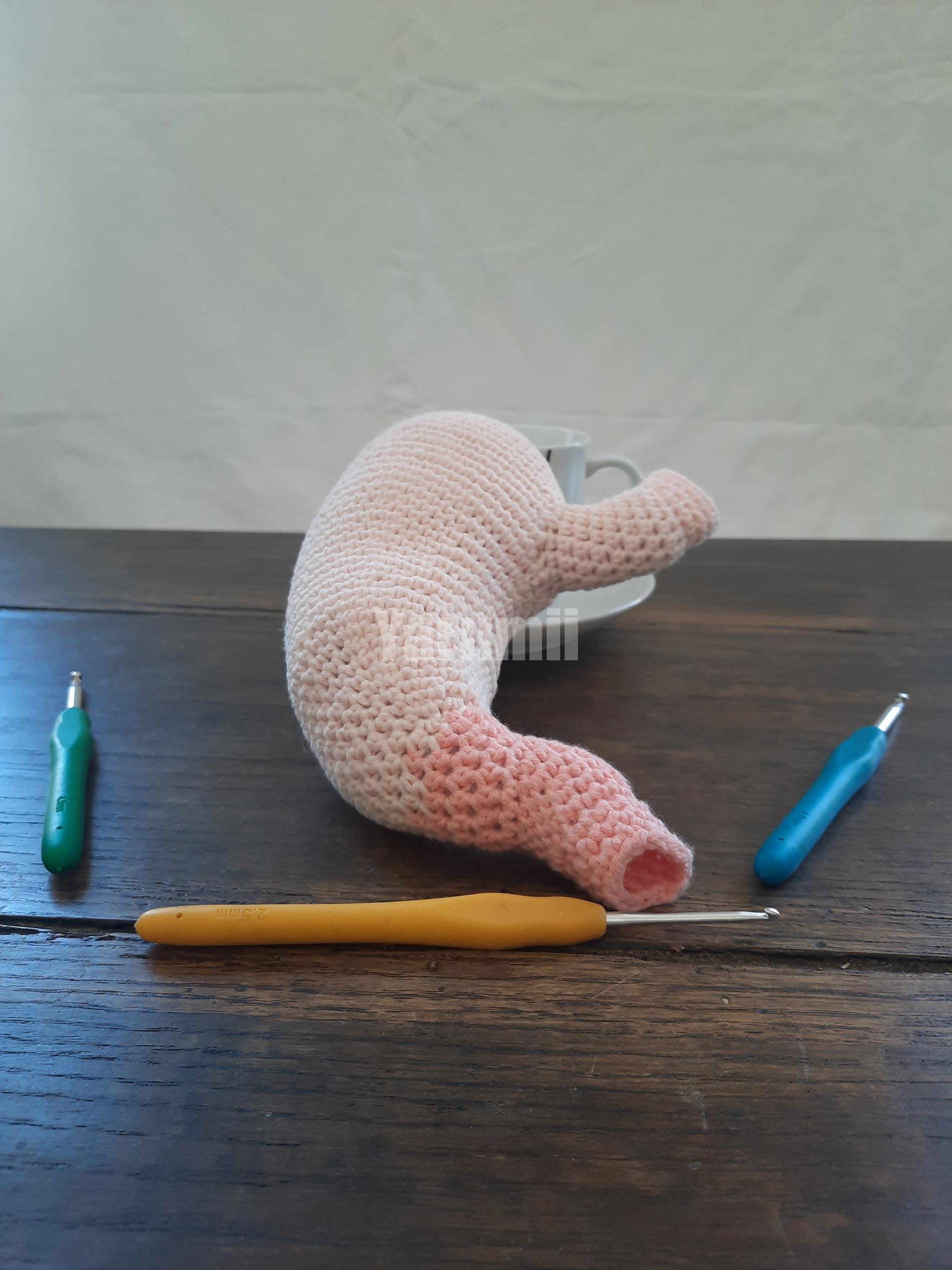 Estomac au crochet - Yarumii Estomac au crochet - Yarumii