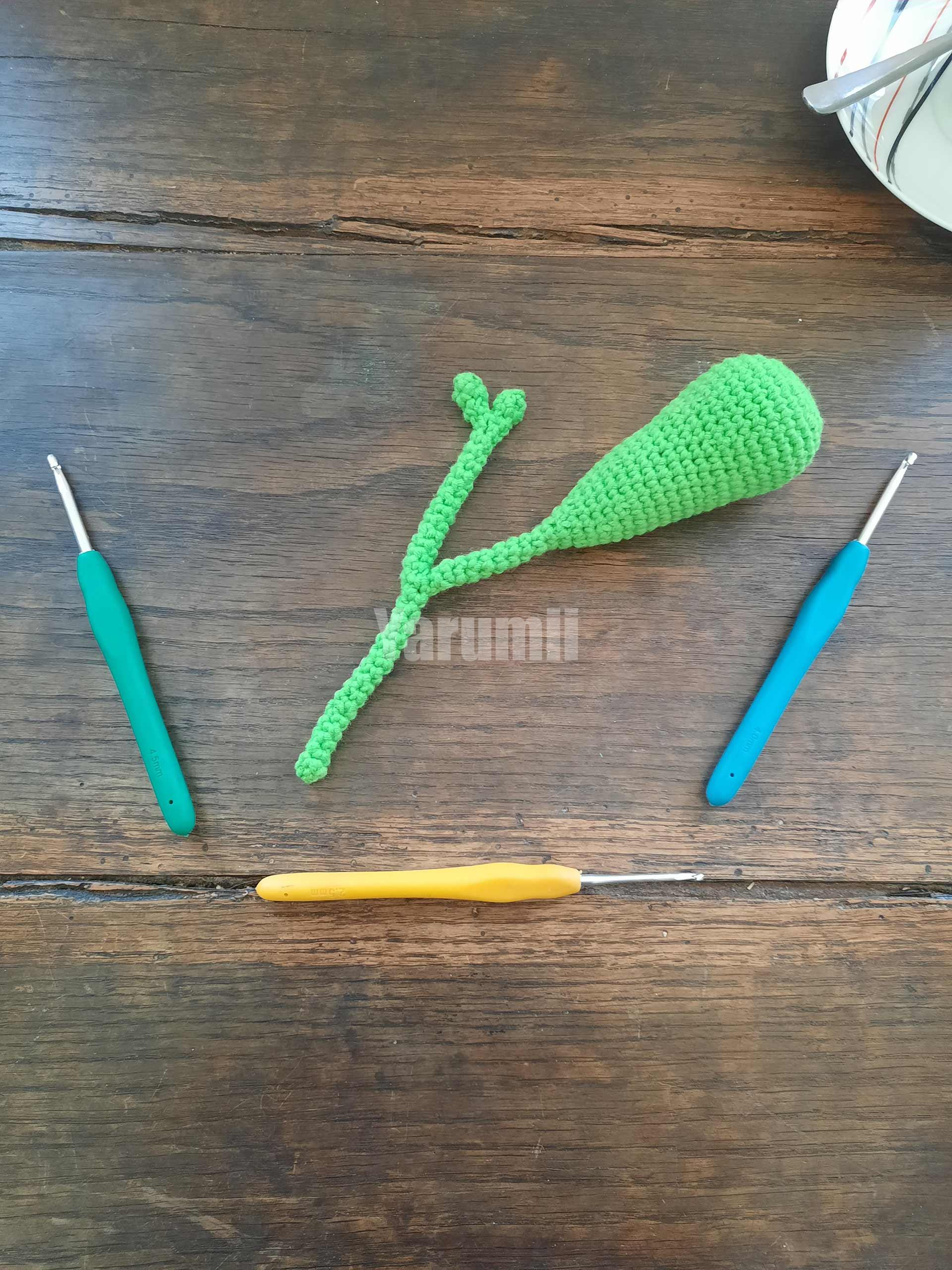 Vésicule Biliaire au crochet - Yarumii Vésicule Biliaire au crochet - Yarumii
