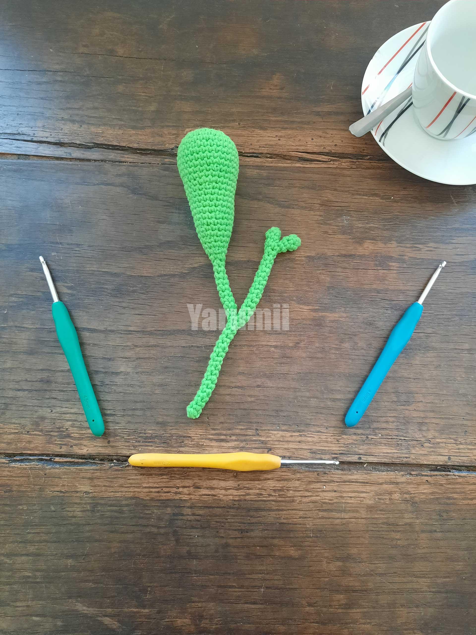 Vésicule Biliaire au crochet - Yarumii Vésicule Biliaire au crochet - Yarumii