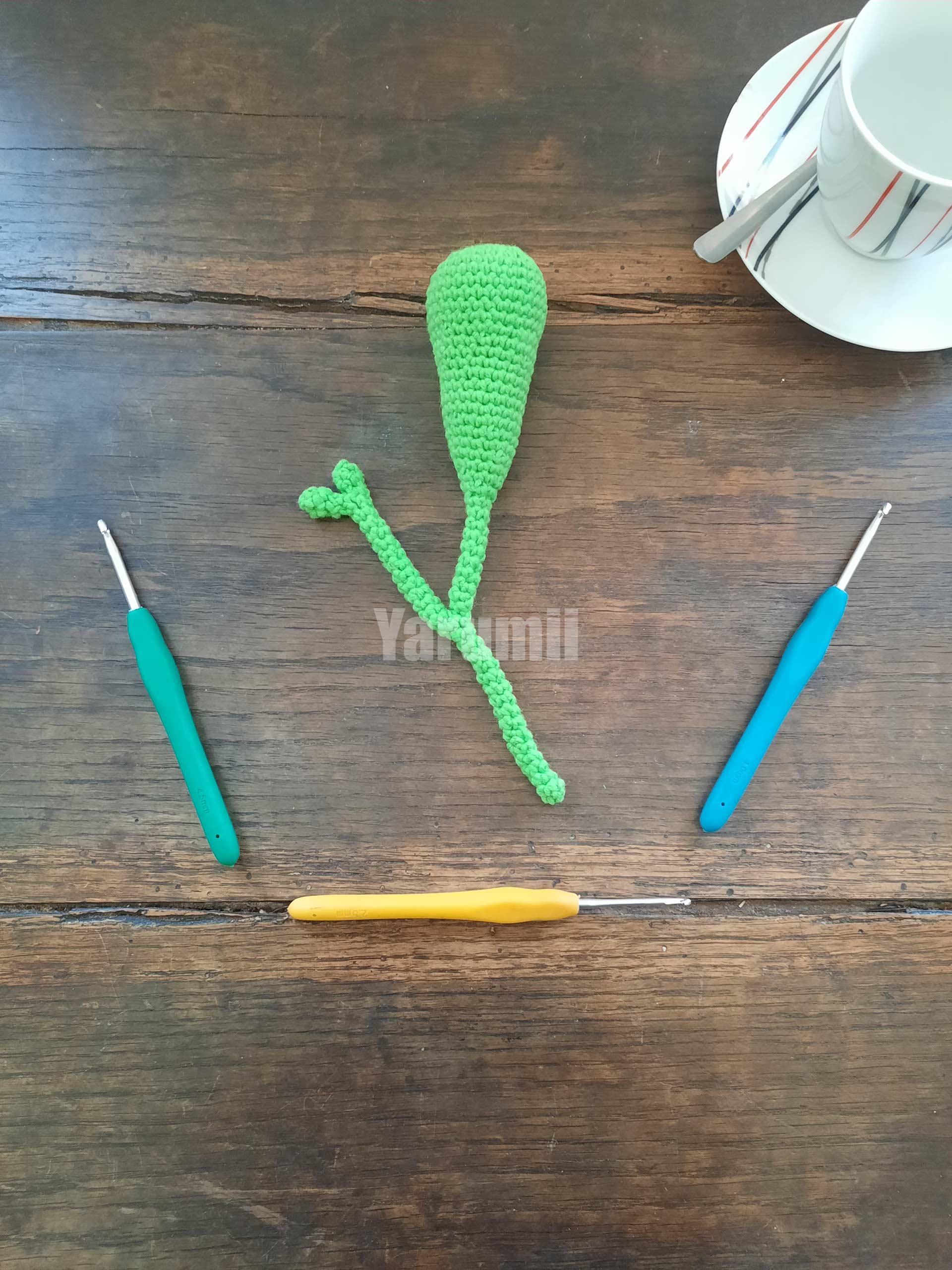 Vésicule Biliaire au crochet - Yarumii Vésicule Biliaire au crochet - Yarumii