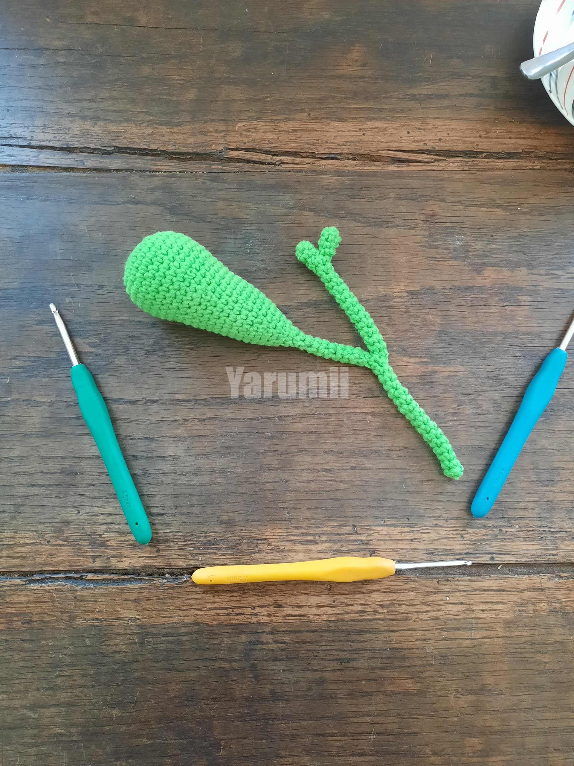 Vésicule Biliaire au crochet - Yarumii